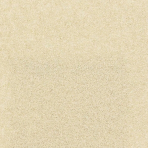 Moquette Expostyle Beige 0916 Nut